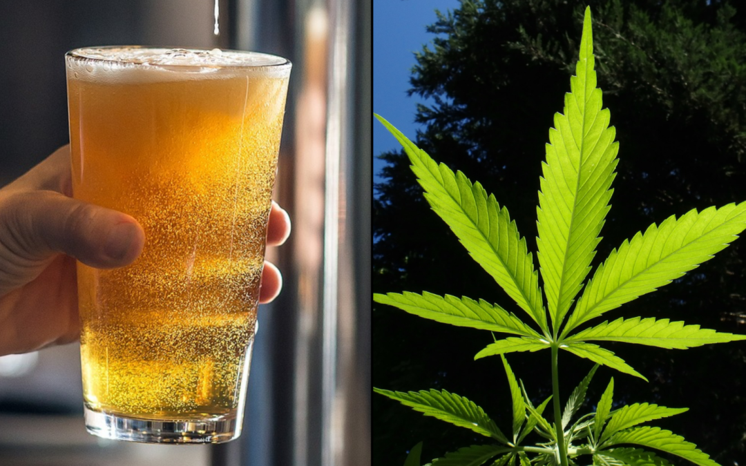 Weed Companies Make More Money Selling Beer Than Pot