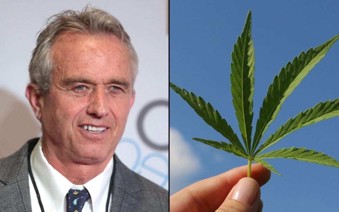 RFK Jr. Could Advance Marijuana And Psychedelics Reform Agenda As Trump’s Top Health Official