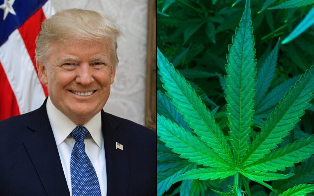 Washington Insiders Say It’s Unknown If Trump Will Seek To Reclassify Cannabis