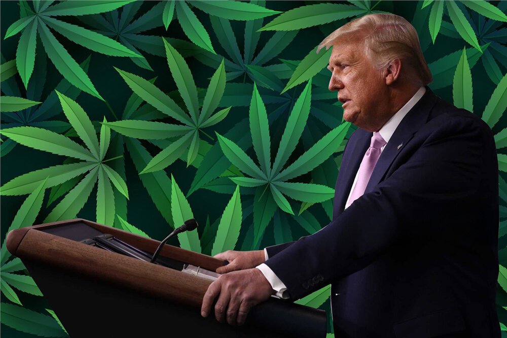 Will Trump Keep Campaign Promise To Legalize Cannabis?