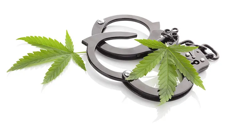 DEA Reports Huge Uptick In Pot-Related Seizures, Arrests