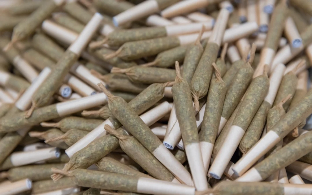 Feds Call Marijuana A ‘Deadly’ Drug And Say Even Medical Cannabis Has ‘Serious Consequences’