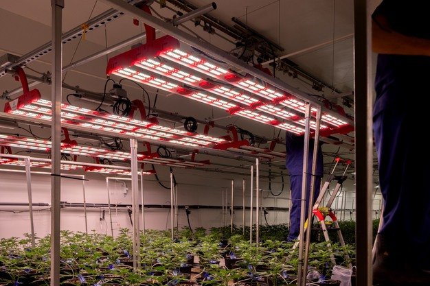 How To Avoid Mistakes When Switching From High Pressure Sodium To Light Emitting Diodes