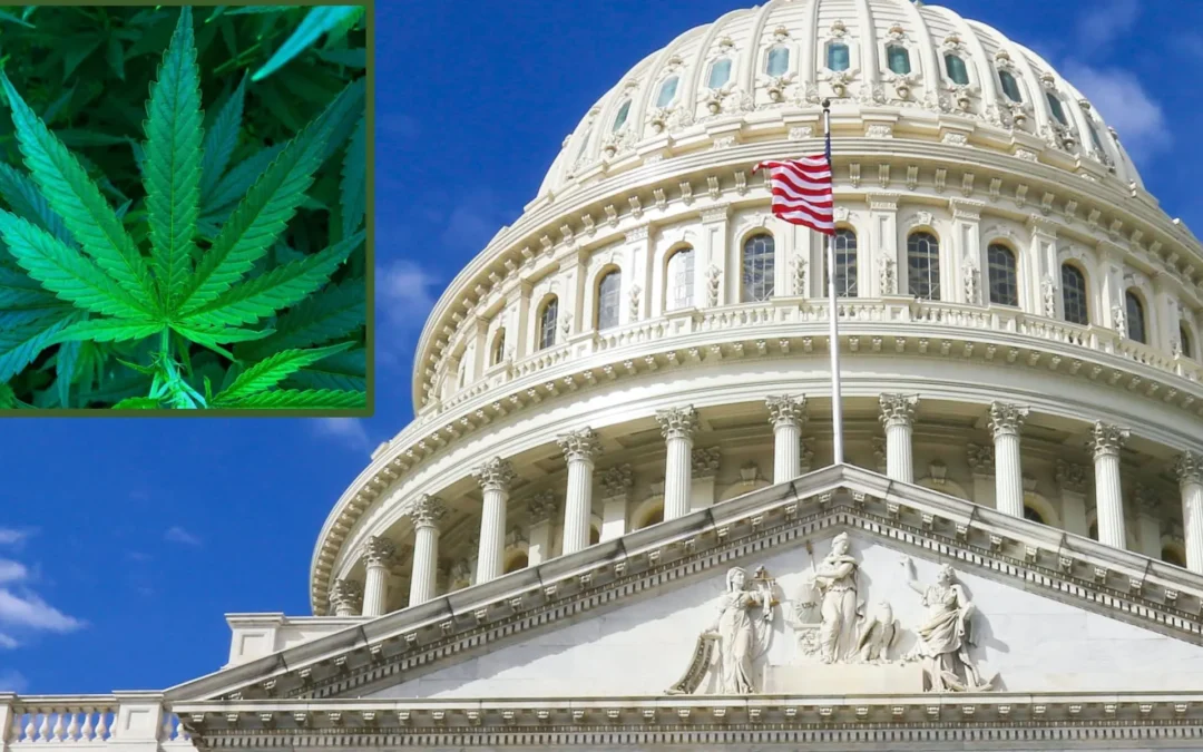 Alcohol Industry Steps Up Lobbying On Hemp Drinks As Congress Debates THC Ban