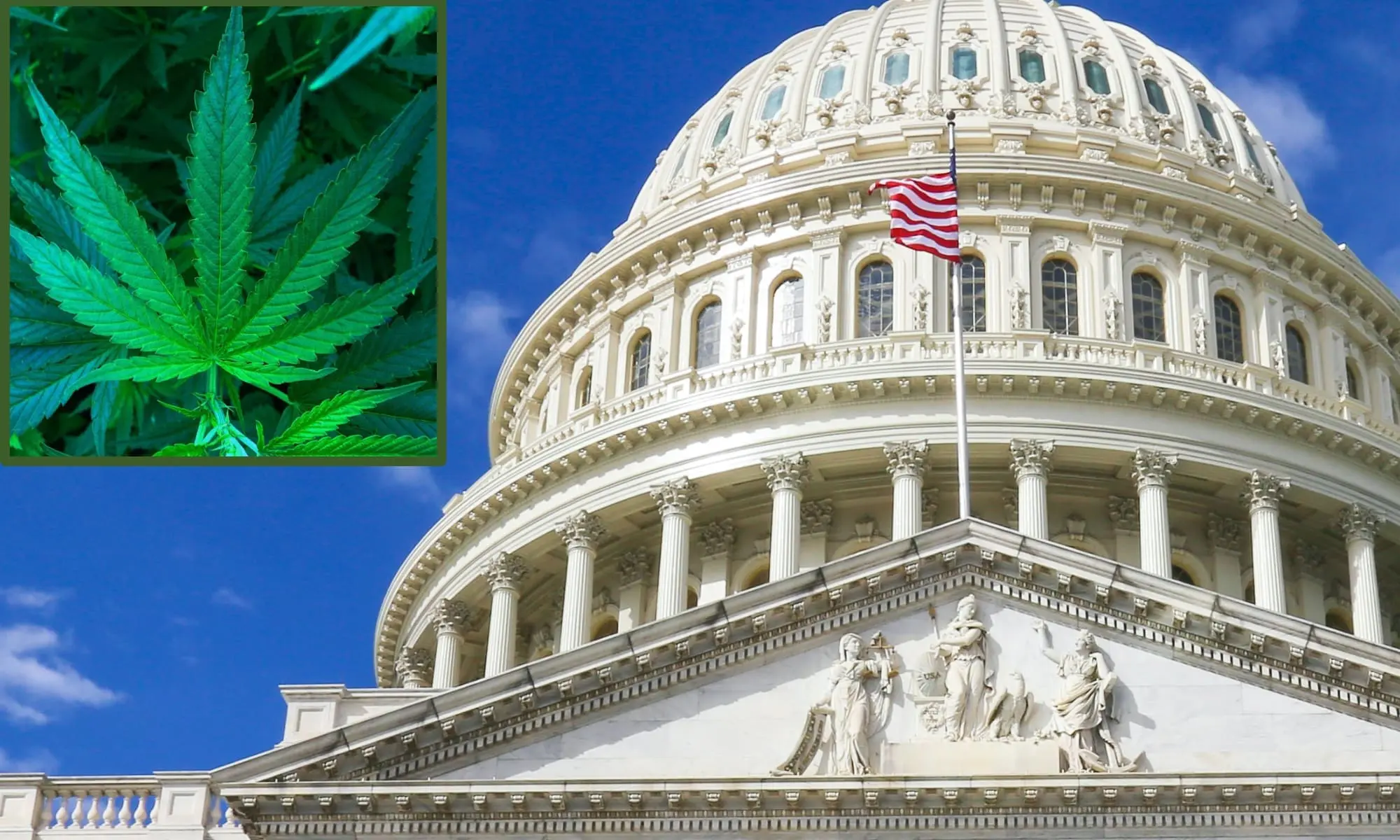 capitol-congress-marijuana