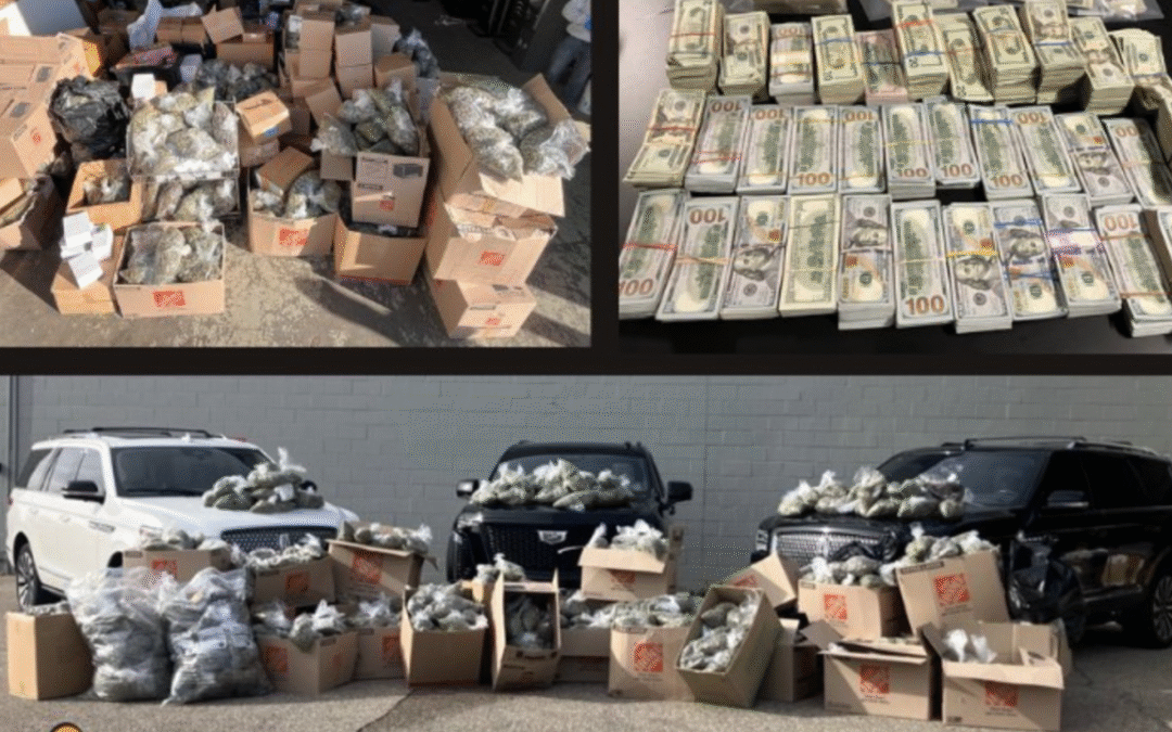1,500 Pounds Of Pot, $380,000, 5 Guns Seized In Shelby Township Raid
