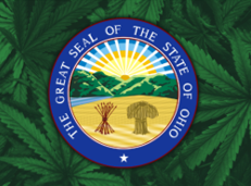 Ballot Initiative To Repeal Ohio’s New Marijuana Law Hits Snag