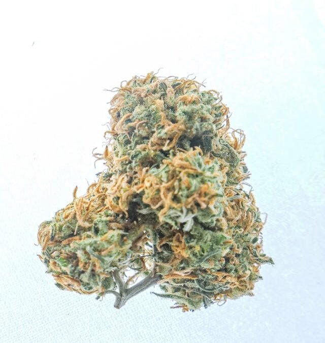 Colorado Cannabis Revenue Declining As Other States Legalize, But It Still Outpaces Alcohol Taxes, Report Shows