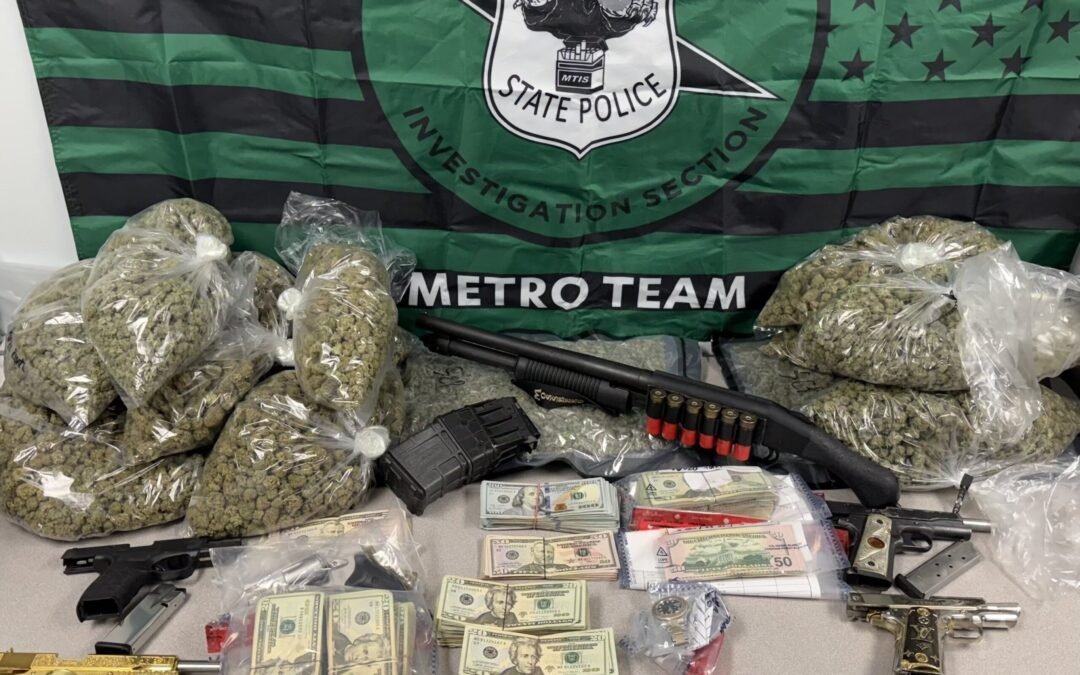 Thousands Of Plants, Hundreds Of Thousands Of Dollars Seized In Massive Illegal Grow In Metro Detroit